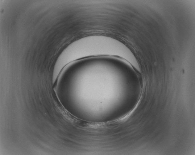 X0000083050190200702161741