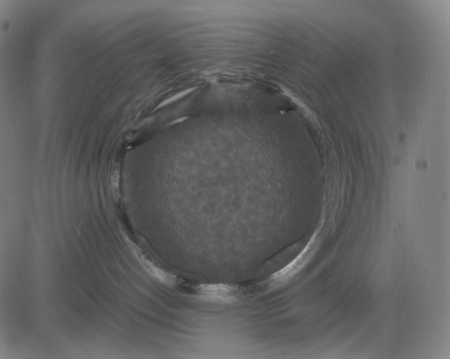 X0000083050192200702161741