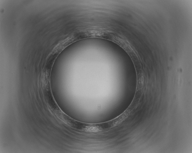 X0000083050218200702161739