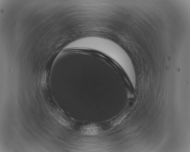 X0000083050219200702161739