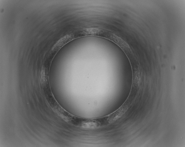 X0000083050220200702161739
