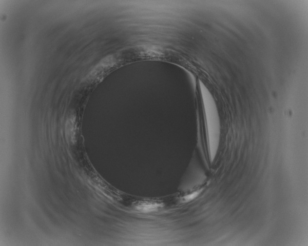 X0000083050223200702161739
