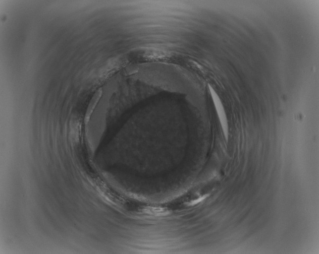 X0000083050227200702161739