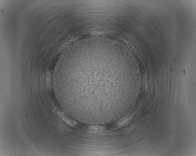 X0000083050234200702161739