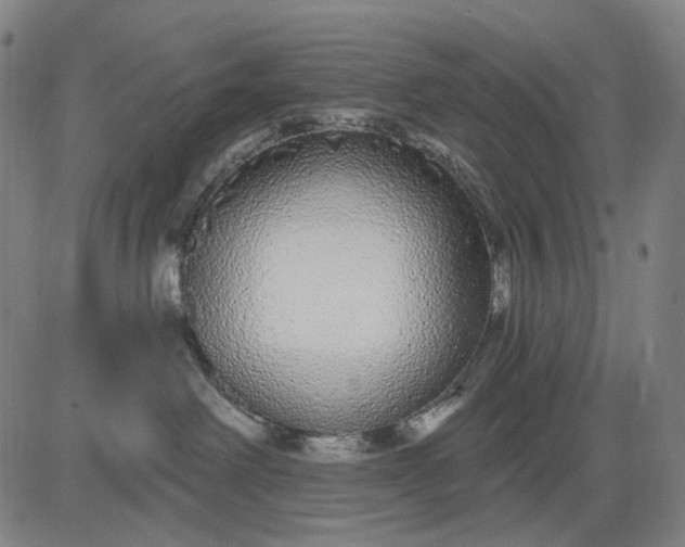 X0000083050238200702161739