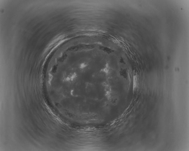 X0000083050243200702161738