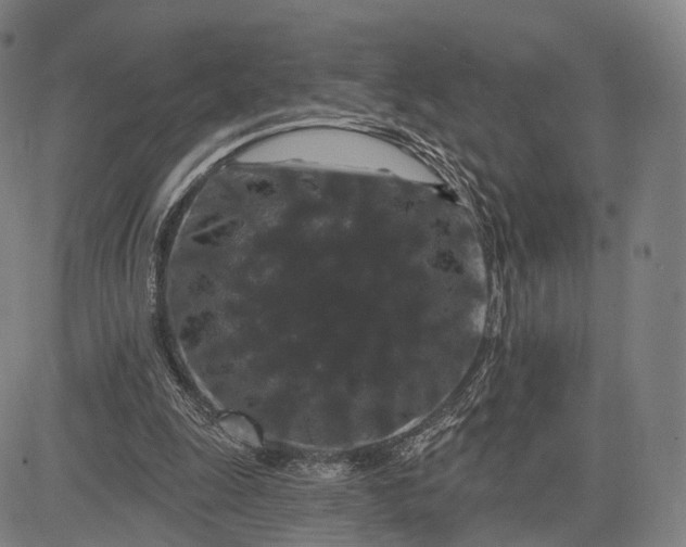 X0000083050247200702161738