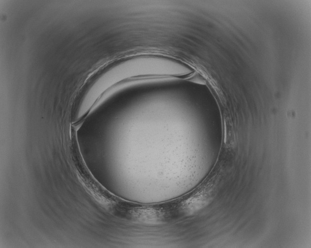 X0000083050253200702161739