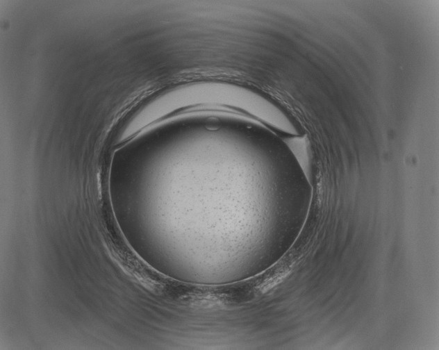 X0000083050254200702161739