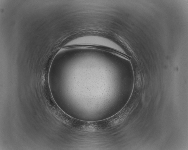 X0000083050259200702161739