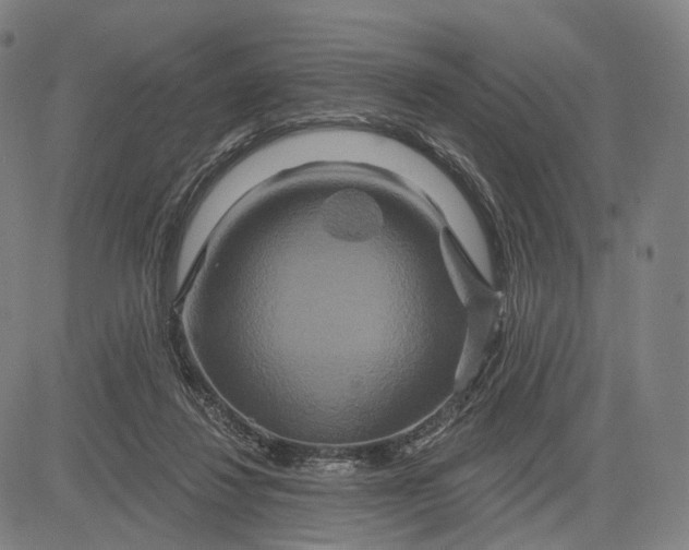 X0000083050260200702161739