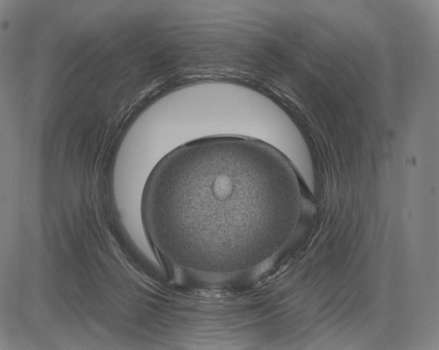 X0000083050264200702161739