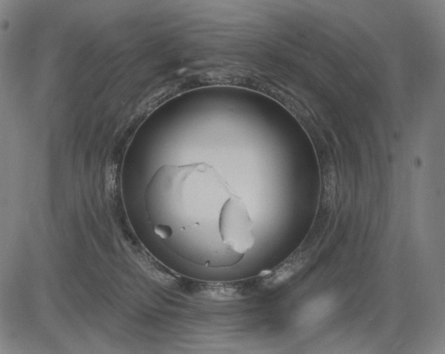 X0000083050278200702161739