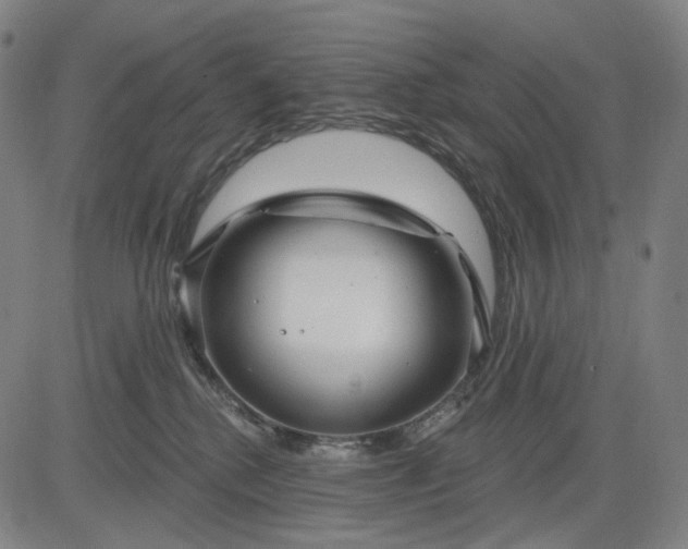 X0000083050280200702161739