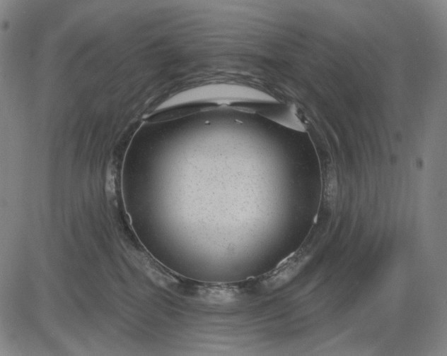 X0000083050282200702161739