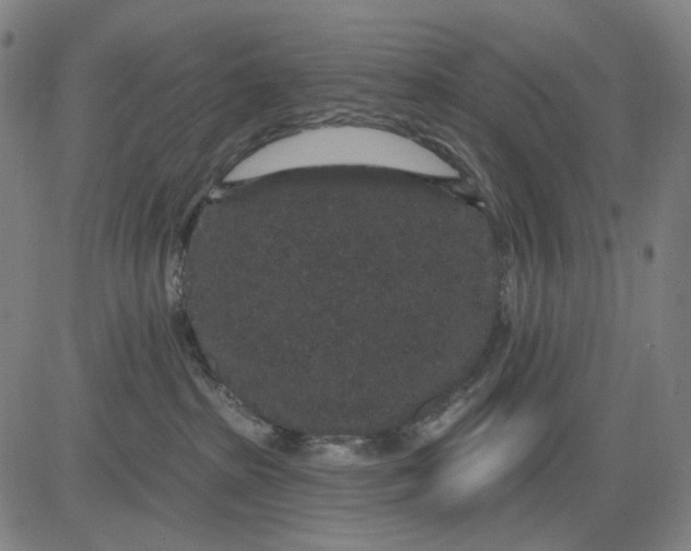 X0000083050285200702161739