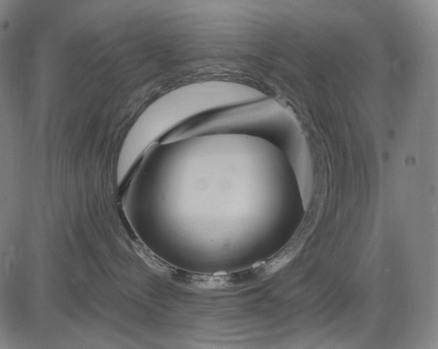 X0000083050288200702161739
