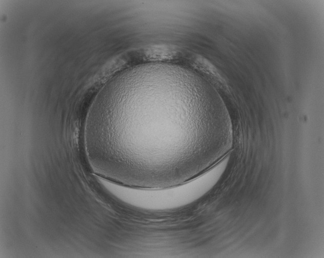 X0000083050315200702161738