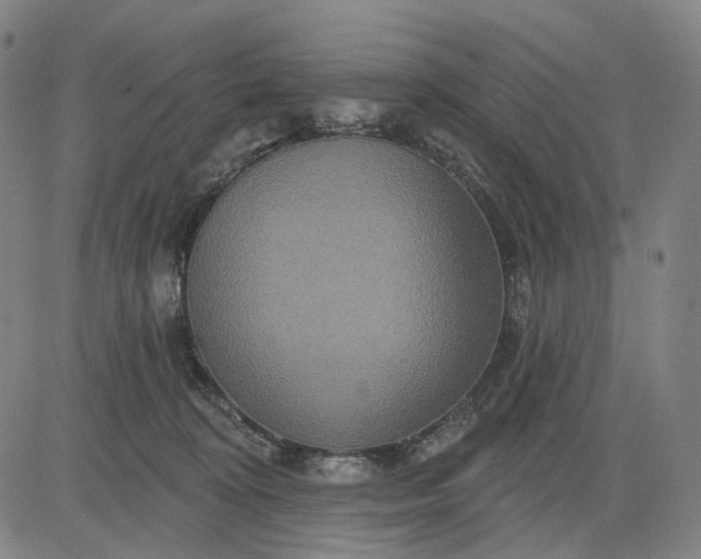 X0000083050324200702161738