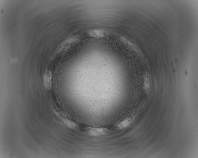 X0000083050332200702161738