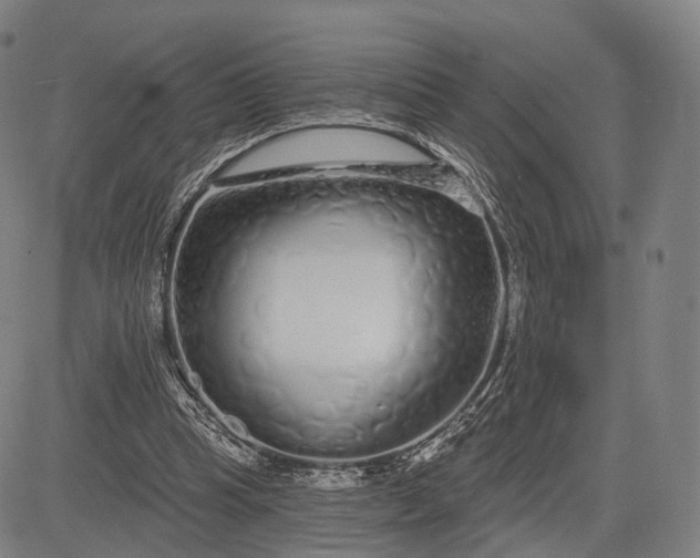 X0000083050345200702161737