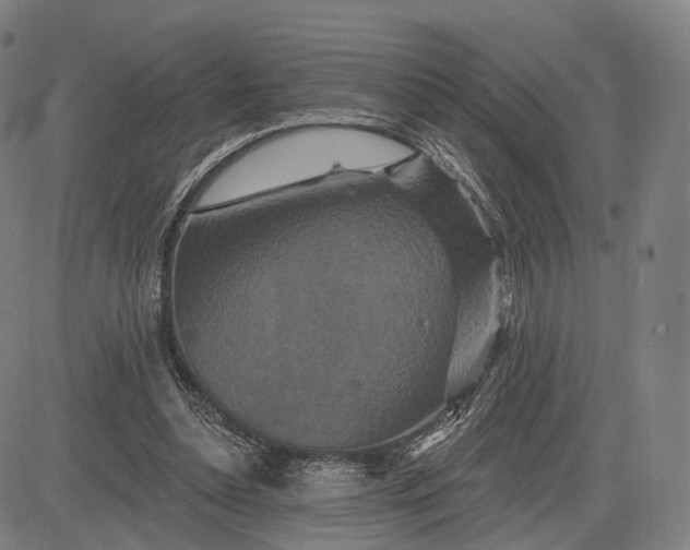 X0000083050348200702161737