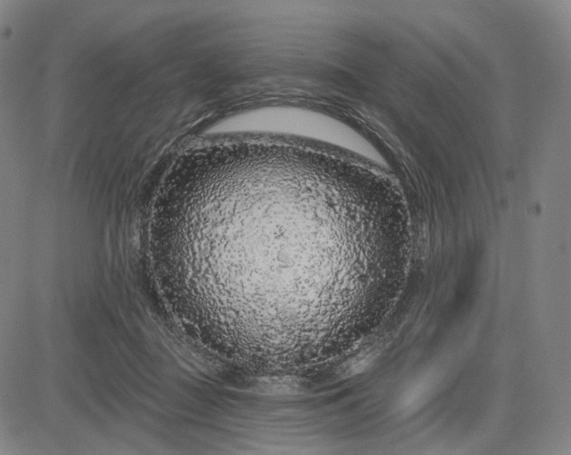 X0000083050363200702161737