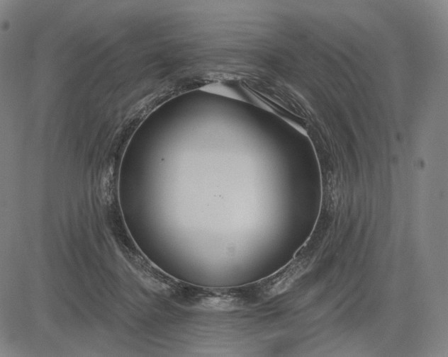 X0000083050364200702161737