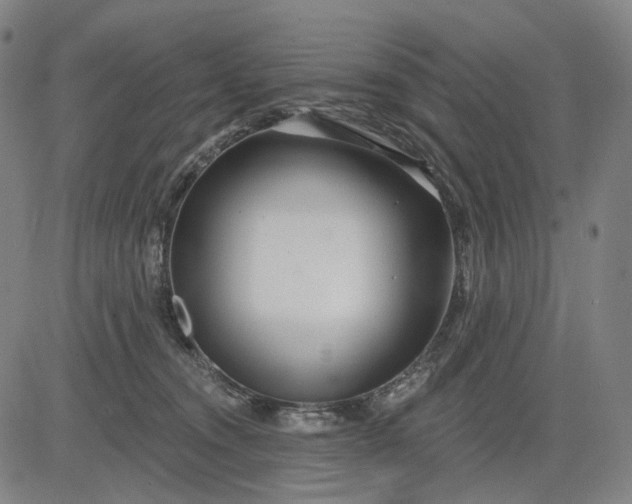 X0000083050372200702161737
