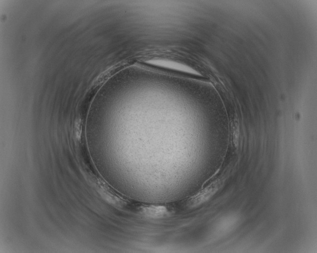 X0000083050374200702161737