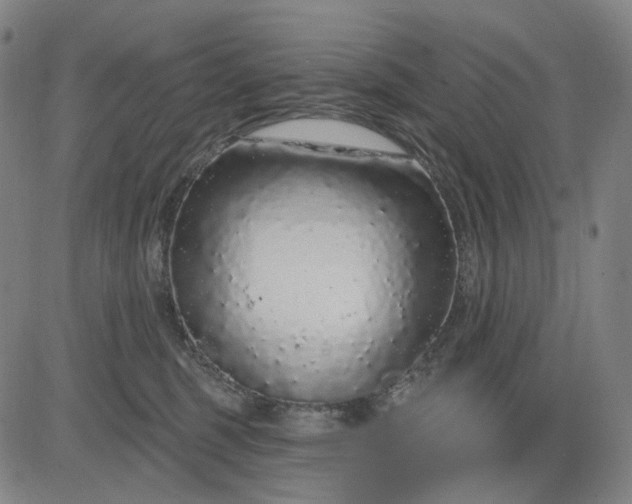 X0000083050375200702161737