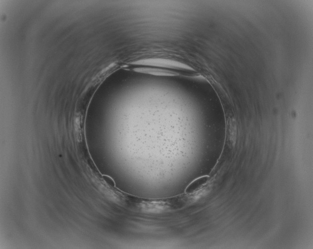 X0000083050378200702161737