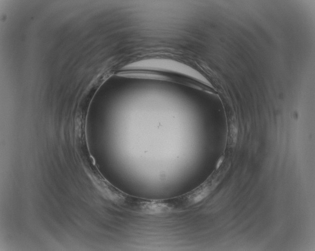 X0000083050379200702161737