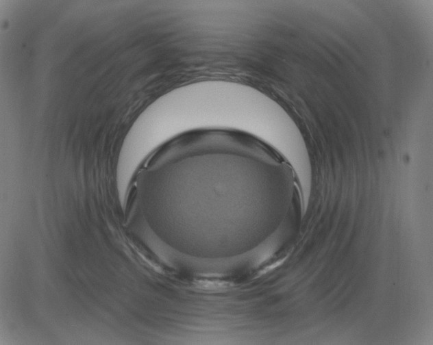 X0000083050380200702161737