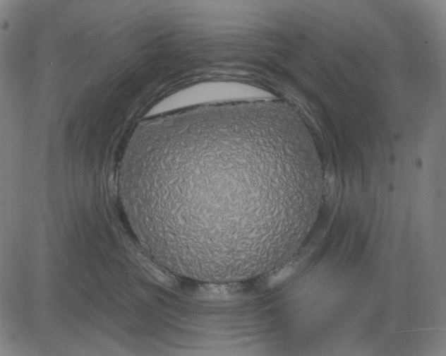X0000083050381200702161737