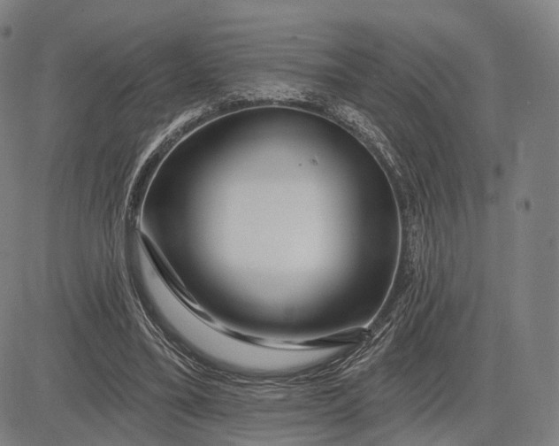 X0000083050395200702161737