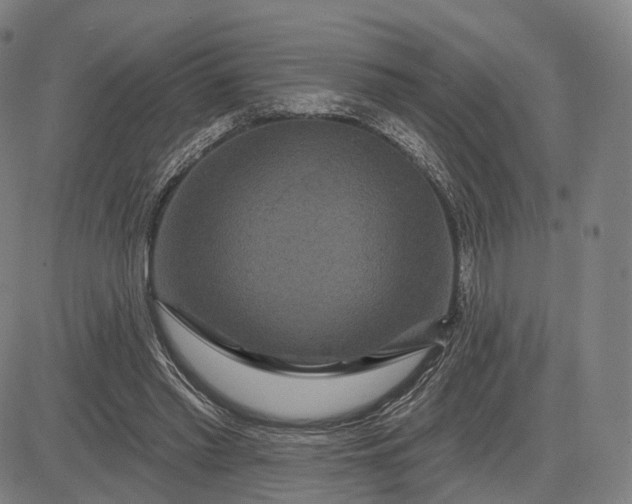 X0000083050397200702161737