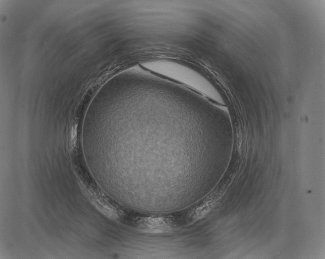 X0000083050406200702161736