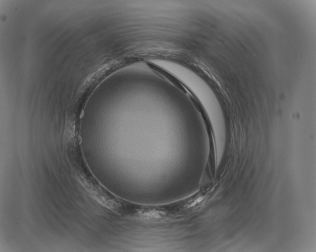 X0000083050407200702161736