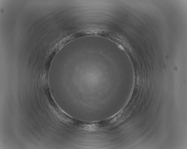 X0000083050411200702161736