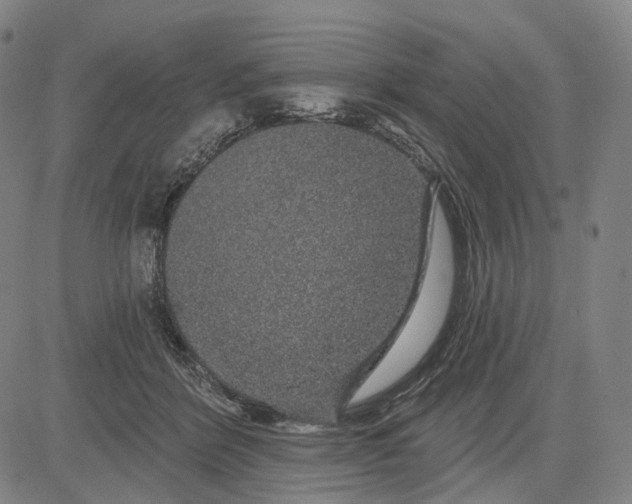 X0000083050412200702161736