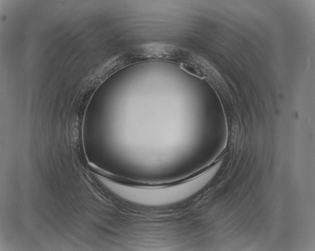 X0000083050413200702161736