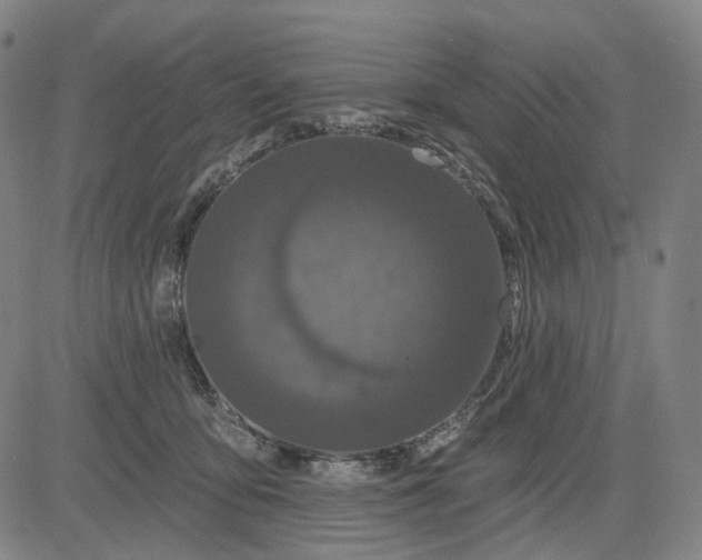 X0000083050419200702161736