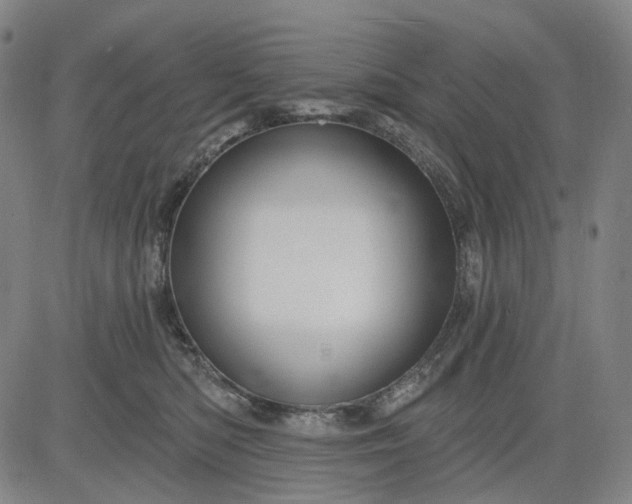 X0000083050422200702161736