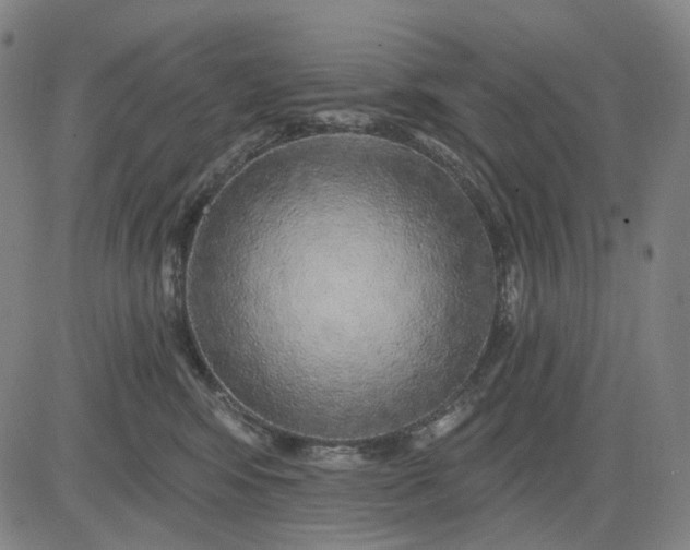 X0000083050424200702161736