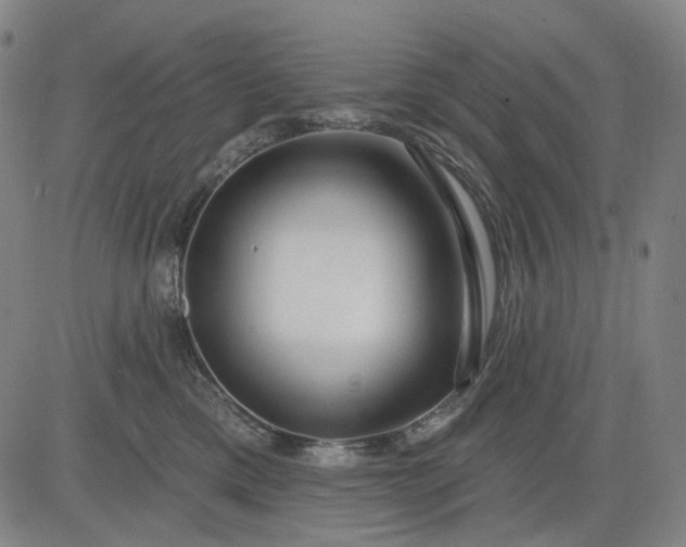 X0000083050425200702161736