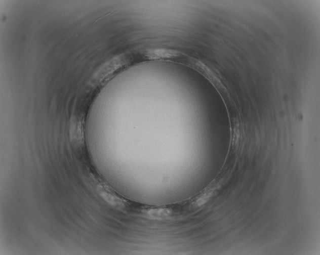 X0000083050426200702161736