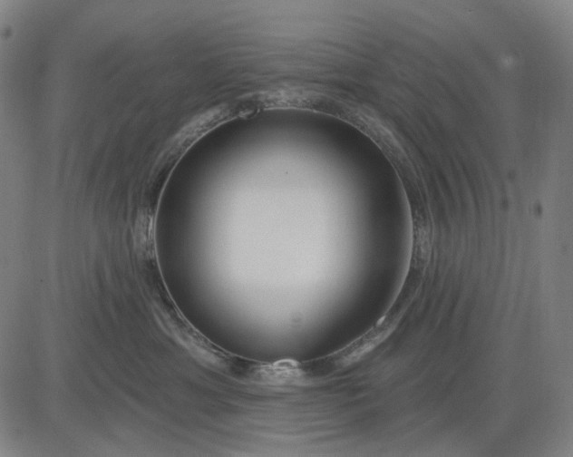 X0000083050429200702161736