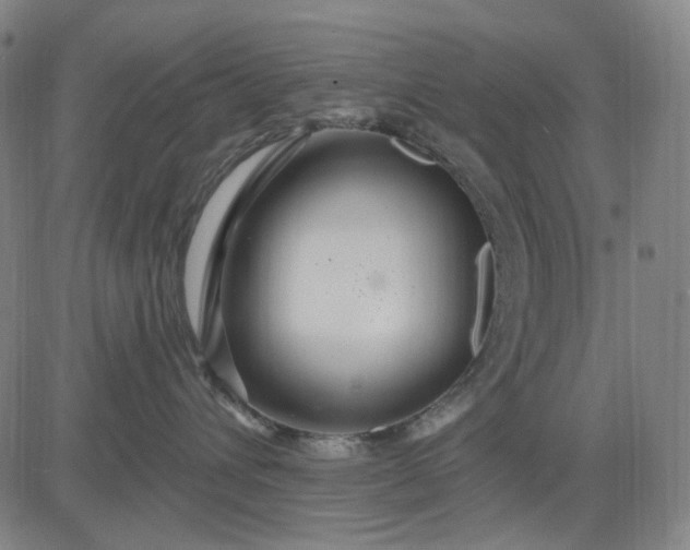 X0000083050432200702161736