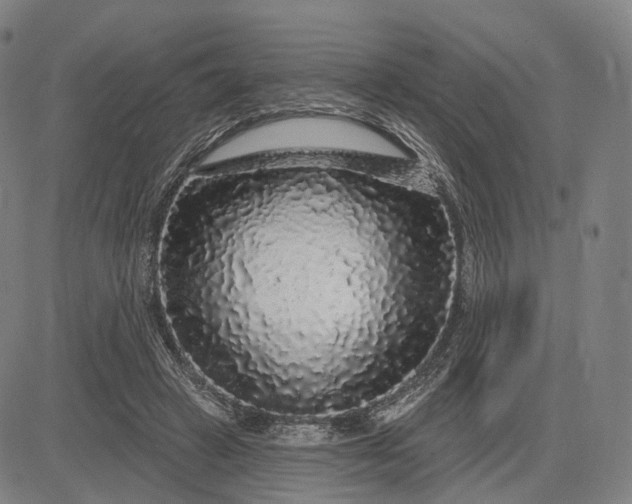 X0000083050449200702161735